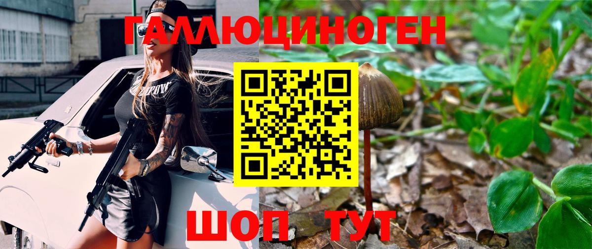 Арзамас  Псилоцибиновые грибы прущие грибы  Вход с VPN 