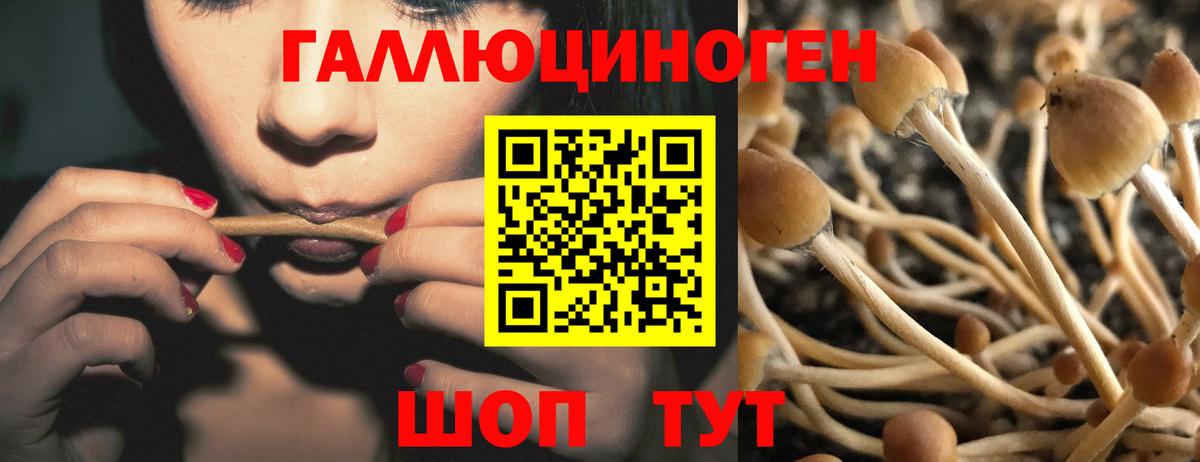 Псилоцибиновые грибы прущие грибы Арзамас